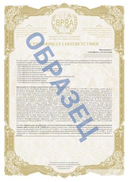 Образец Приложение к СТО 01.064.00220722.2-2020 Чернышевск Сертификат СТО 01.064.00220722.2-2020 